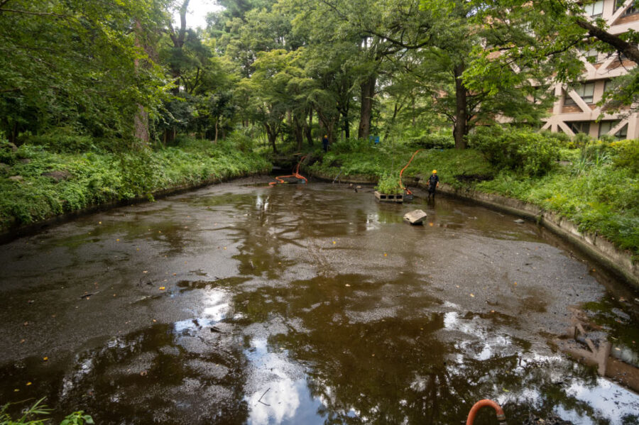 2308 水が抜き取られたひょうたん池の東側