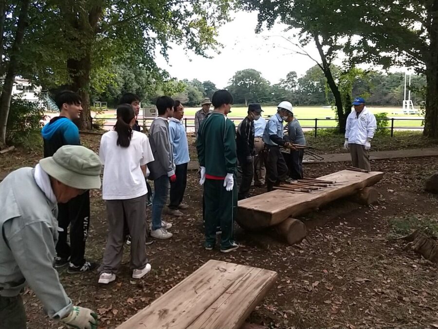 修復されたひょうたん池東側のベンチ（10月19日定例作業日）