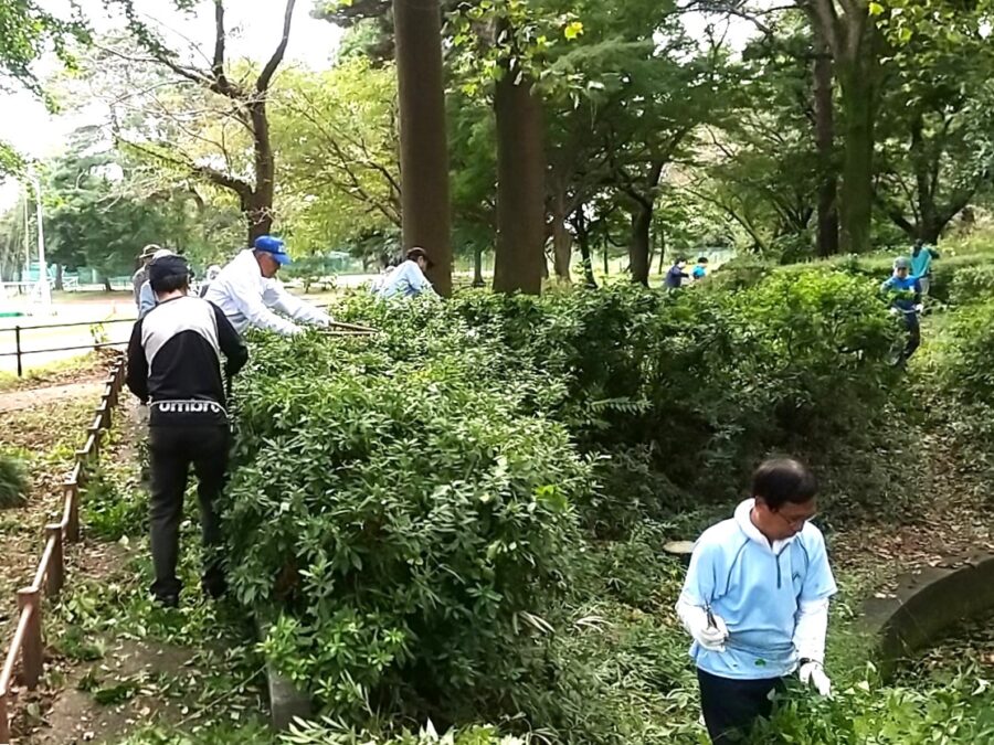 ひょうたん池南東側での植込みの剪定作業