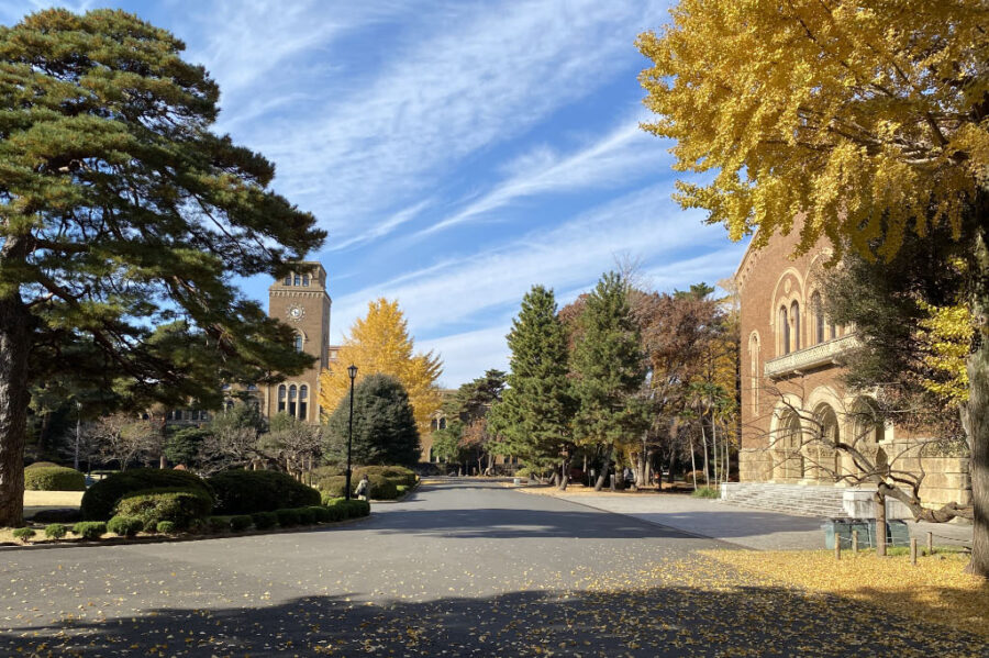 秋色深まる大学キャンパス