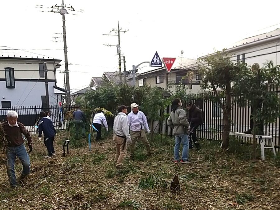 3班の剪定作業