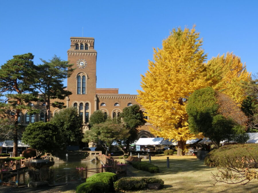 ①中央庭園から図書館時計台棟を臨む