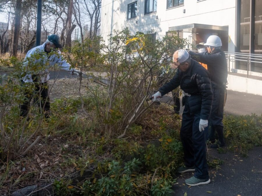 植込みの剪定作業を行う41年会の大先輩達